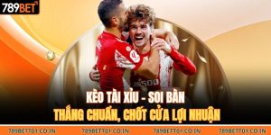 Kèo Tài Xỉu – Soi Bàn Thắng Chuẩn, Chốt Cửa Lợi Nhuận
