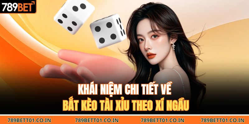 Khái niệm chi tiết về bắt kèo tài xỉu theo xí ngầu