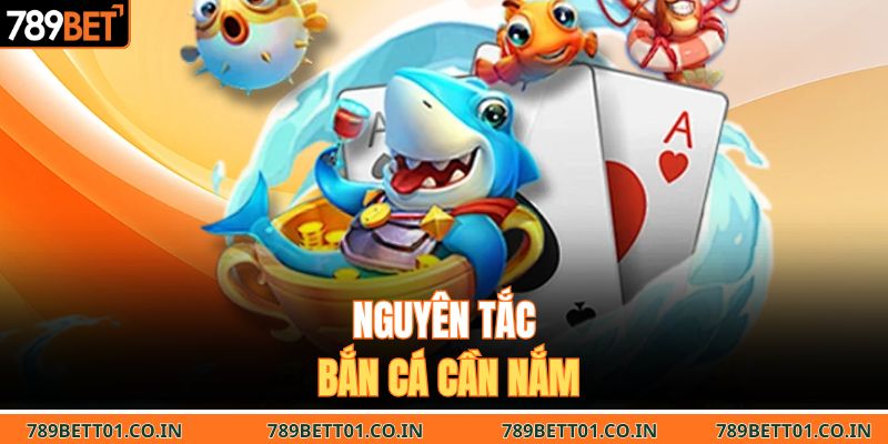 Nguyên tắc bắn cá cần nắm