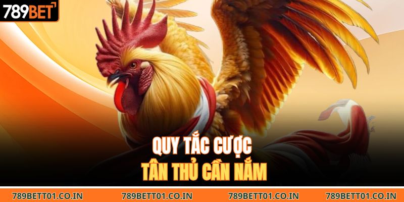 Quy tắc cược tân thủ cần nắm